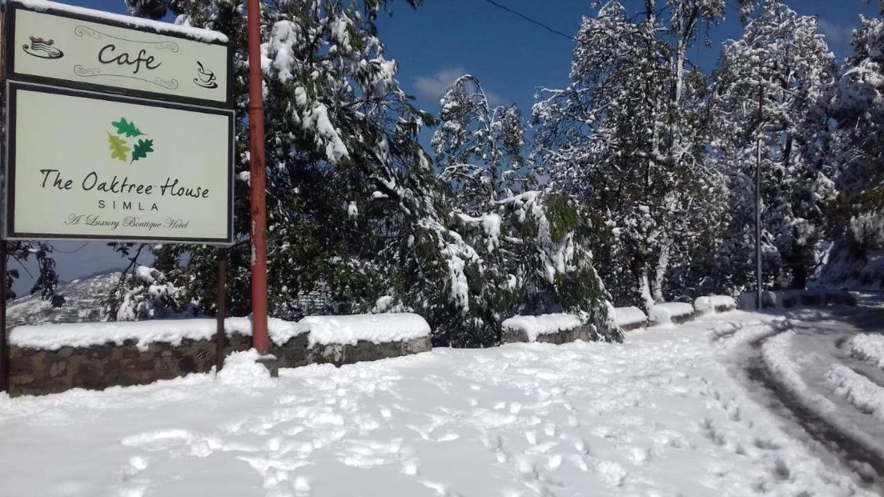 The Oaktree House Hotel Shimla Bagian luar foto