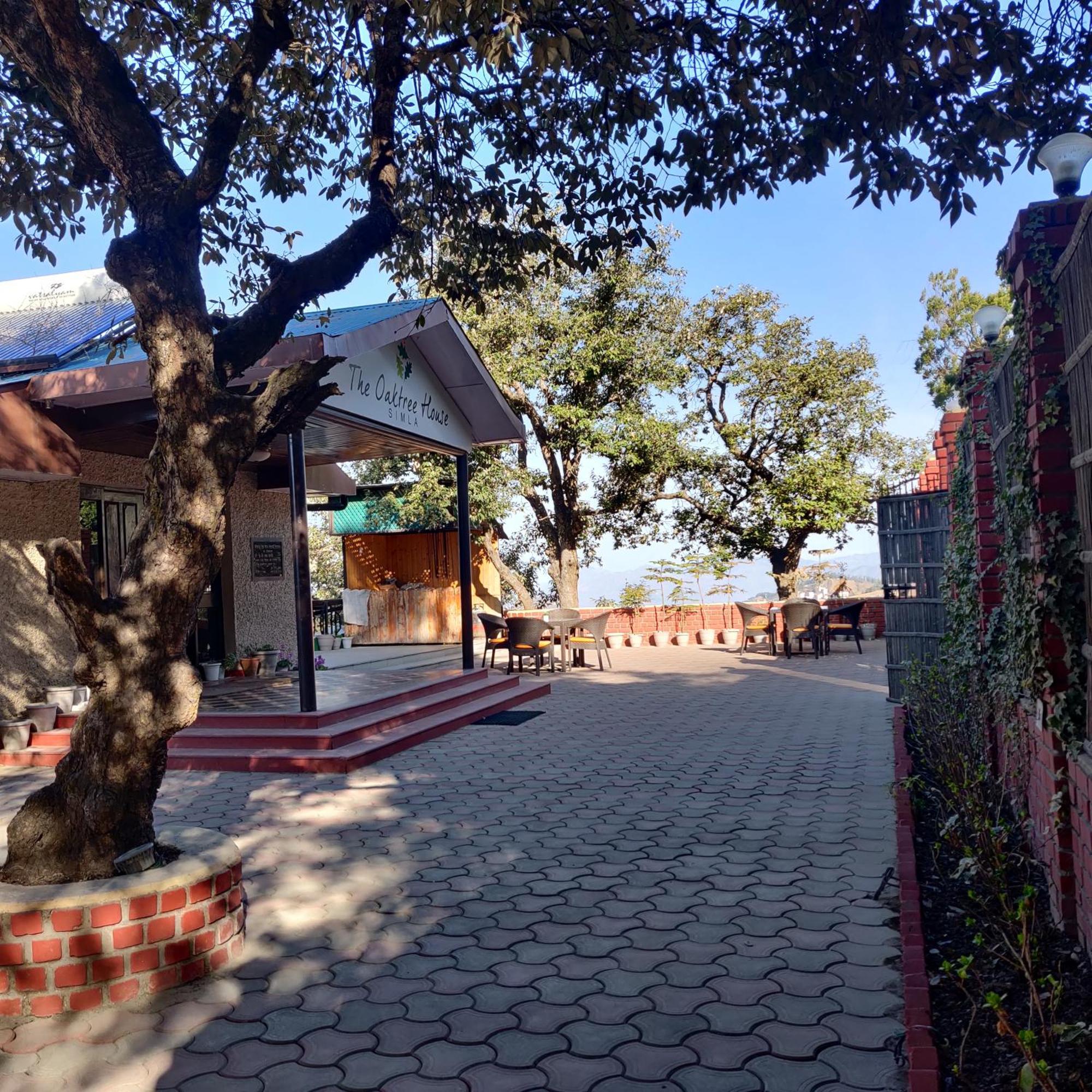 The Oaktree House Hotel Shimla Bagian luar foto